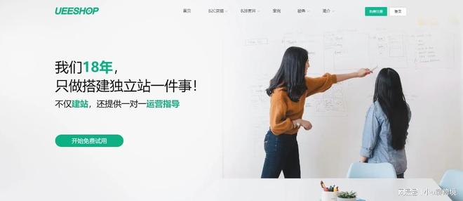 独立站都死在第一步？选平台避坑指南冰球突破游戏网站为什么大多数的情趣(图6)